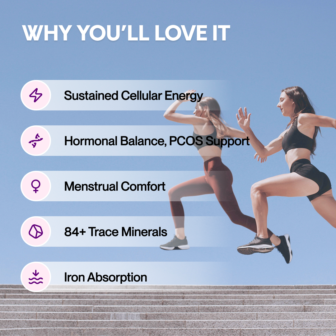 Shilajit Balance Energy Sticks with Shatavari & Ashoka Bark