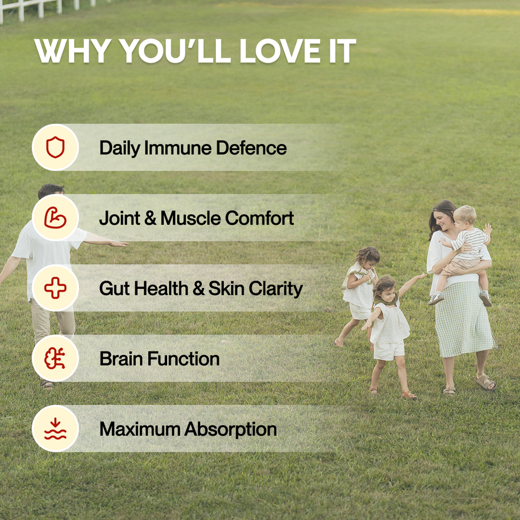 BCM-95® Turmeric Ginger Immunity Sticks